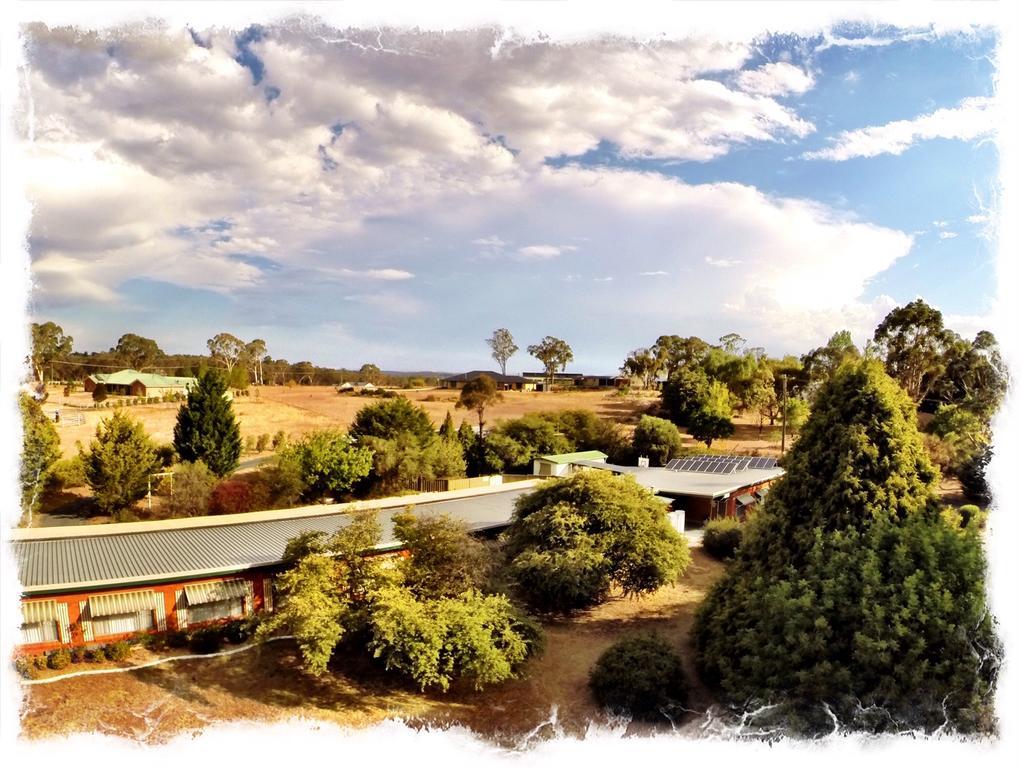 Armidale Rose Villa Motel Bagian luar foto